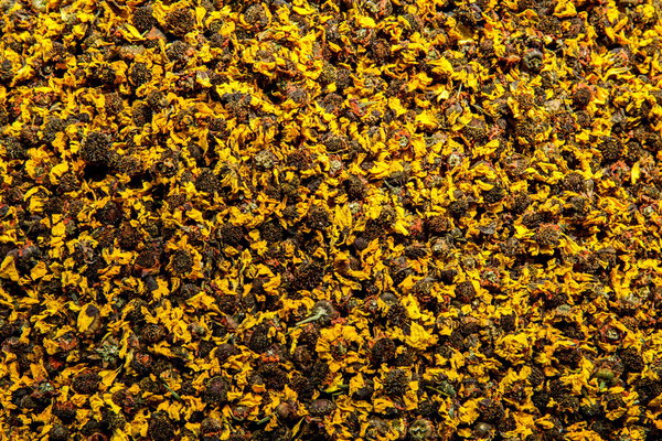 Лекарство от чая - Kunlun snow daisy
