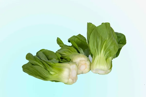 Repolho de verduras sazonal  ----- — Fotografia de Stock