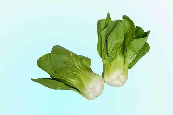 Col de verduras de temporada  ----- — Foto de Stock