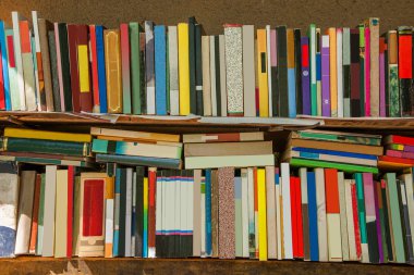 kitap koleksiyonu