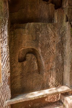 Hechuan Rondeau yazlık çıkış