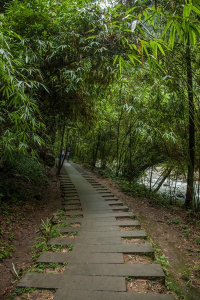 Chongqing berühmte malerische schwarze Schlucht im Gebirgstal — Stockfoto