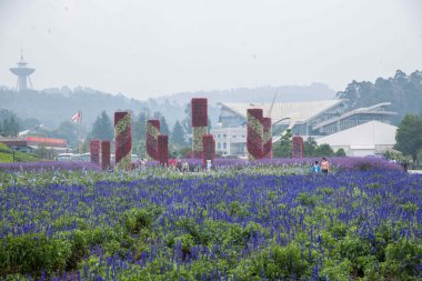 Kunming çiçek Expo