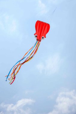 Kunming Expo uçurtma üzerinde