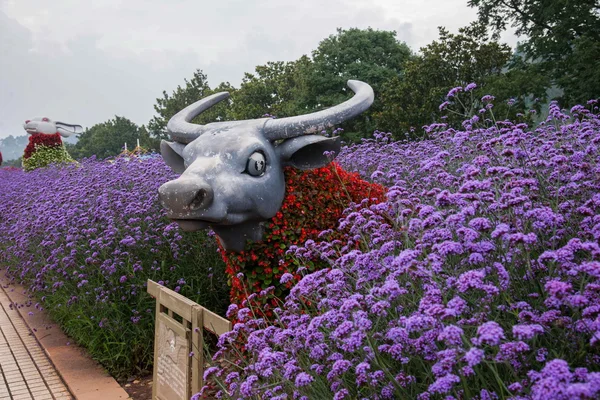 Kunming Fiore Expo Zodiaco — Foto Stock