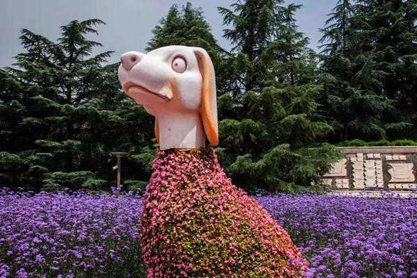 Kunming Fiore Expo Zodiaco — Foto Stock