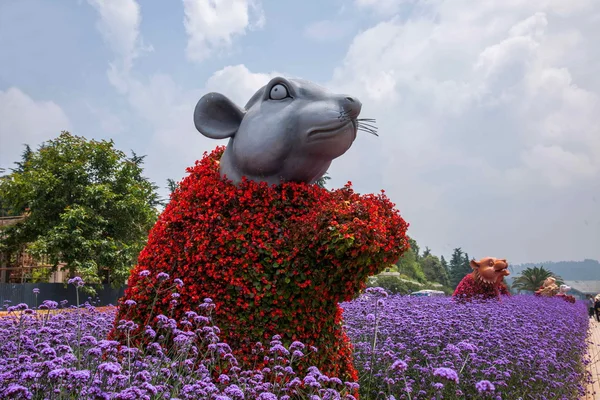 Kunming Fiore Expo Zodiaco — Foto Stock