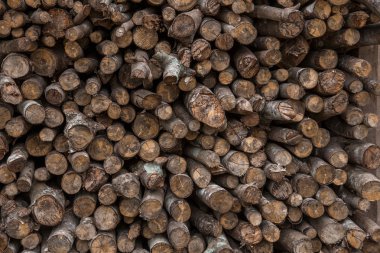 Xishuangbanna Dai yığılmış Köyü yakacak odun Xiaoganlanba