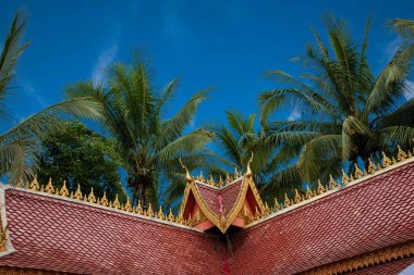 Xishuangbanna Dai Park Meng Han adam Xiaoganlanba damla Dafosi