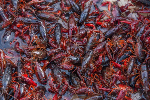 De oude stad van Lijiang alley restaurant rivierkreeft — Stockfoto