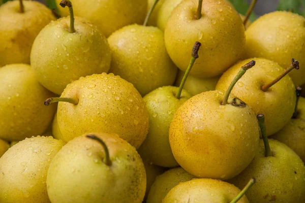 Lijiang, Yunnan Shuhe ------fruta de pera alimentos saludables — Foto de Stock