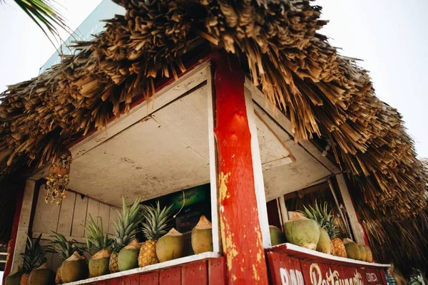 Tropikal Meyveler Tropikal Bir Dükkanda Ananas Hindistan Cevizi — Stok fotoğraf