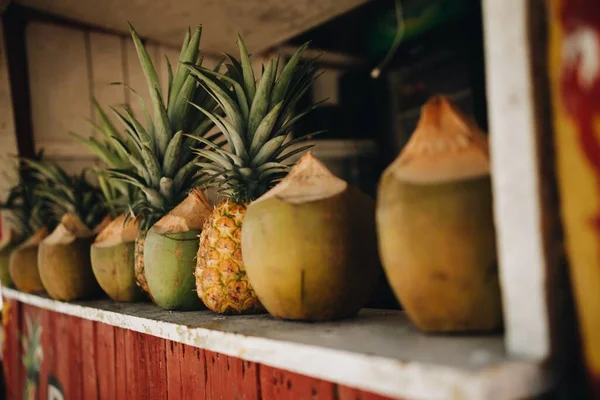 Tropische Früchte Ananas Und Kokosnüsse — Stockfoto