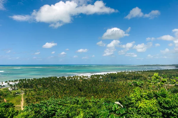 도미니카 공화국 의사모아 야자수 청록색 바닷물 — 스톡 사진
