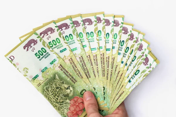 500 Pesos Argentinos Dispostos Forma Ventilador Mantido Partir Sua Borda — Fotografia de Stock