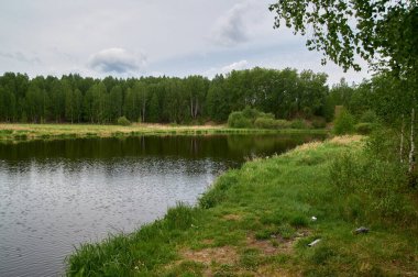 Nehrin kıyısında yaz manzarası.