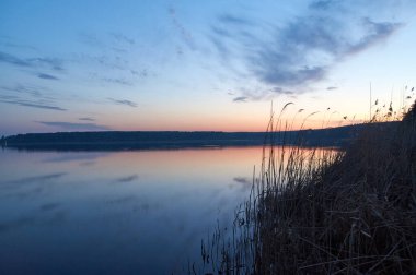 Nehrin kıyısında yaz manzarası.