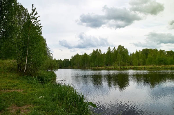 Letni Krajobraz Nad Brzegiem Rzeki — Zdjęcie stockowe