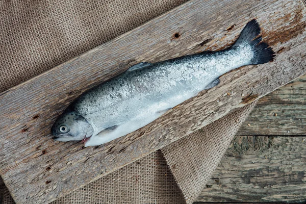 Poisson frais sur table en bois — Photo