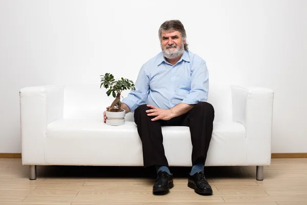 Ledige alte Männer auf weißer Couch mit Bonsai — Stockfoto