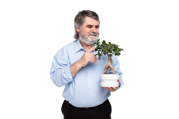 Alte Männer mit grauen Haaren mit kleinem Baum in der Hand — Stockfoto