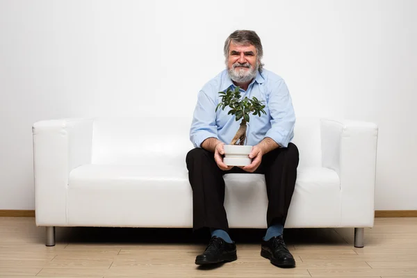 Single vecchi su divano bianco con un bonsai — Foto Stock