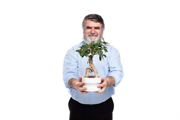 Homens velhos com cabelo grisalho tendo árvore pequena em mãos — Fotografia de Stock