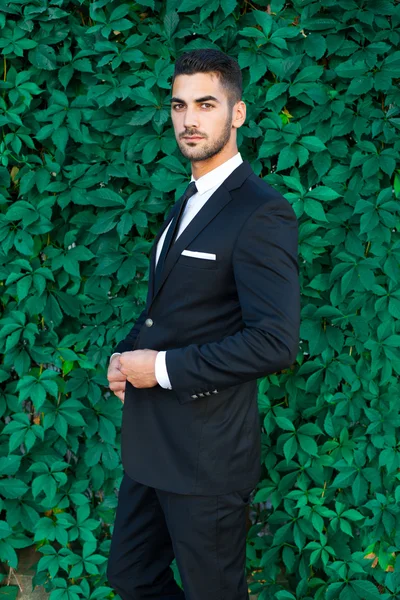Elegant businessman standing on leaves background — Stock Photo, Image