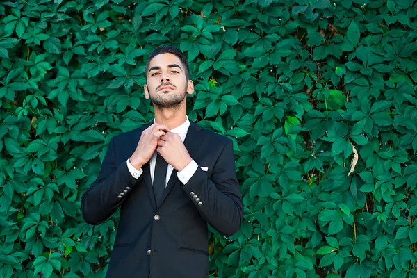 Elegant businessman standing on leaves background — Stock Photo, Image