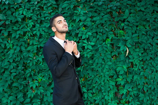 Elegant businessman standing on leaves background — Stock Photo, Image