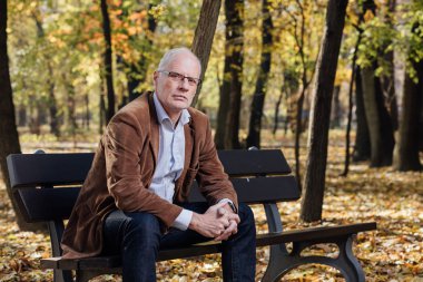 bankta oturan eski zarif adam