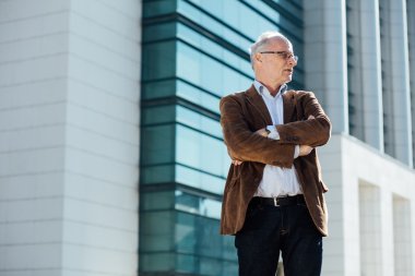 Dışarıda yetişkin kişi gri saçlı şık giyinmiş