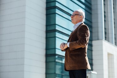 Dışarıda yetişkin kişi gri saçlı şık giyinmiş