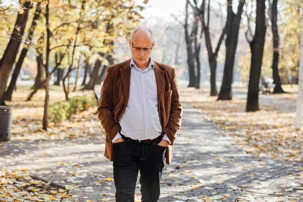 Ancianos elegantes caminando — Foto de Stock