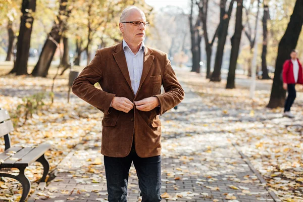 Elegante alte Männer zu Fuß — Stockfoto