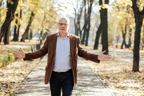 Elegante alte Männer zu Fuß — Stockfoto