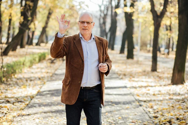 Ancianos elegantes caminando — Foto de Stock