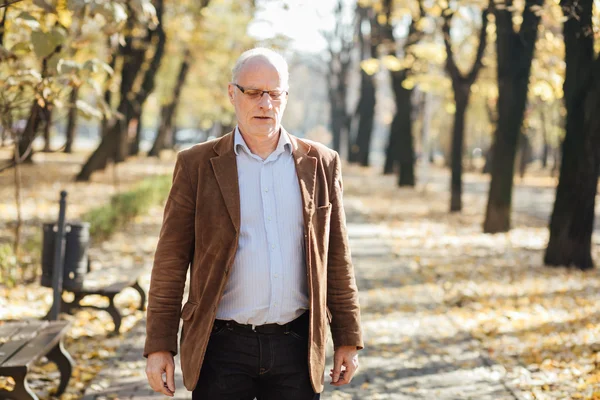 zarif yaşlı yürüme 