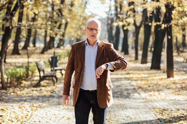 Eleganti vecchi che camminano — Foto Stock