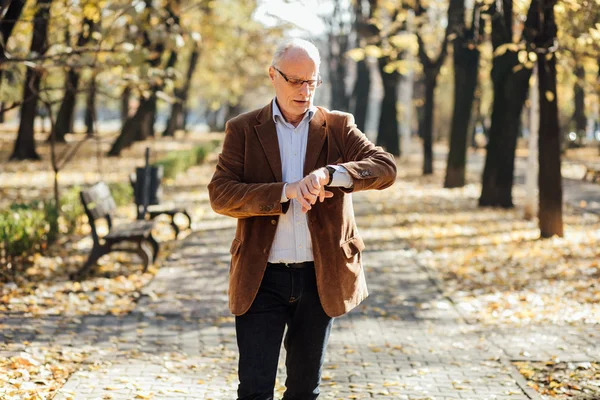 Ancianos elegantes caminando — Foto de Stock