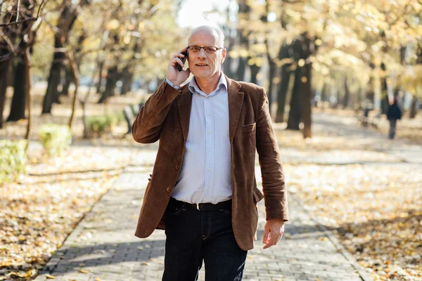 Elegante alte Männer zu Fuß — Stockfoto