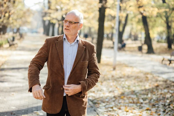 Ancianos elegantes caminando — Foto de Stock