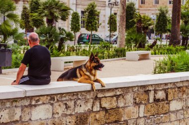 Bari, İtalya - 30 Mayıs - Şehir merkezinde nehir sınırına yakın bir adamla güzel bir köpek