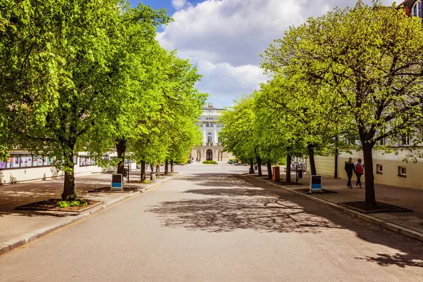 Warsaw Polsko Circa 2016 Řada Zelených Stromů Středu Města Vedle — Stock fotografie