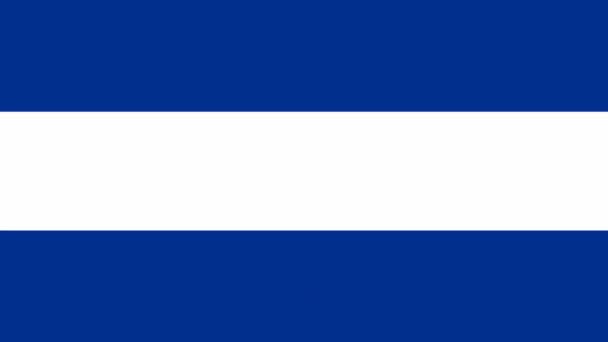 Honduras State Flag Animated Video — Stock Video