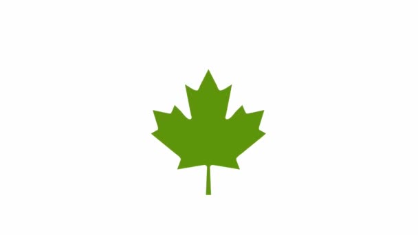 Kanadensisk Stat Flagga Video Animation — Stockvideo