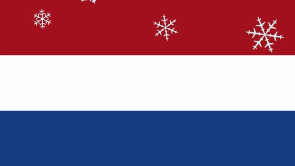 Sneeuwvlokken Vallen Nederlandse Vlag Geanimeerde Video Voor Kerstmis Nieuwjaar Vakantie — Stockvideo