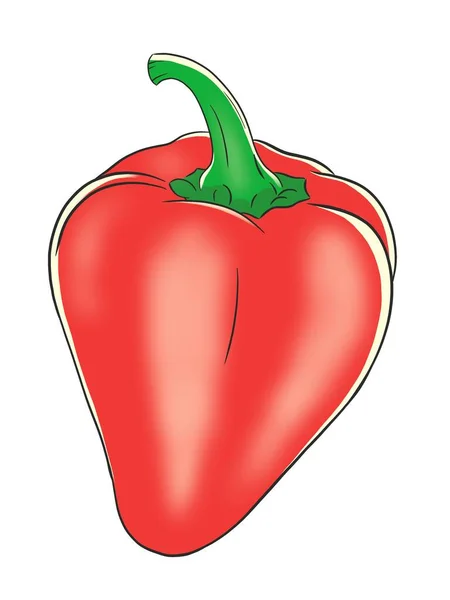 Red Sweet Pepper Colored Drawing Isolated Illustration — Stok Foto