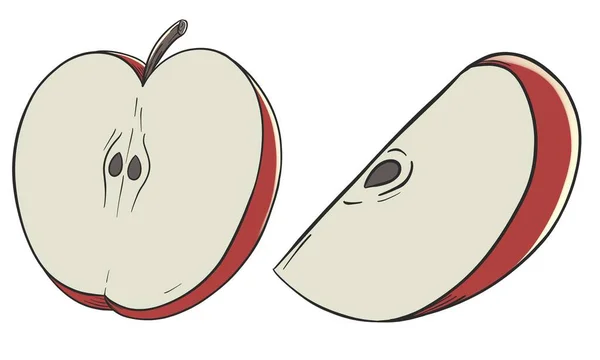 Sliced Red Apple Colored Drawing Isolated Illustration — Zdjęcie stockowe