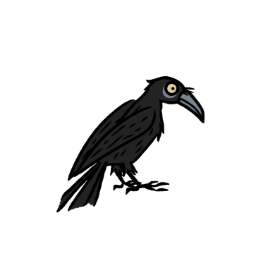 Kale, Raven, Jackdaw, Chough, Magpie, Jay, Fındıkkıran, Treepie, Piapiac, Karga gagalı Drongo